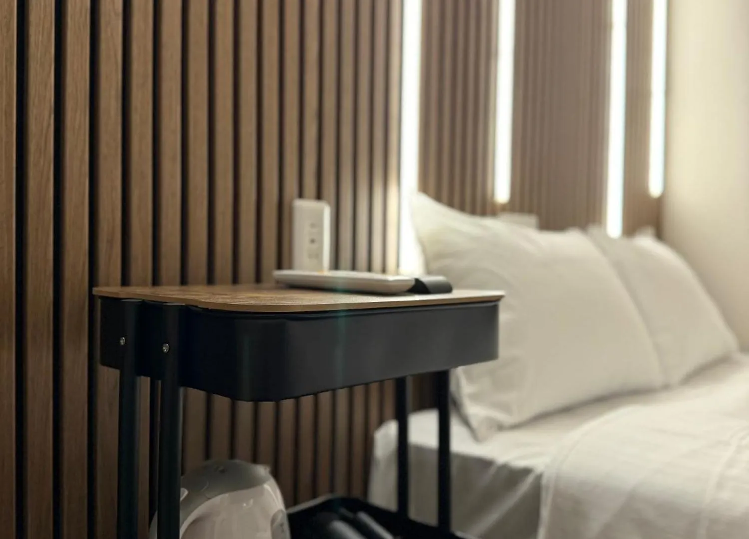 Osaka Ebisu Hotel Japan